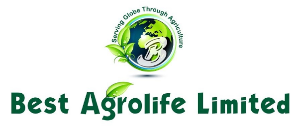 Bronze Sponsor