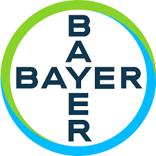 Bronze Sponsor