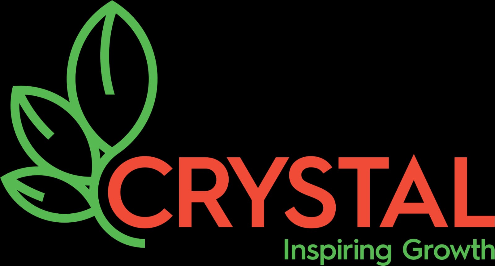 Silver Sponsor